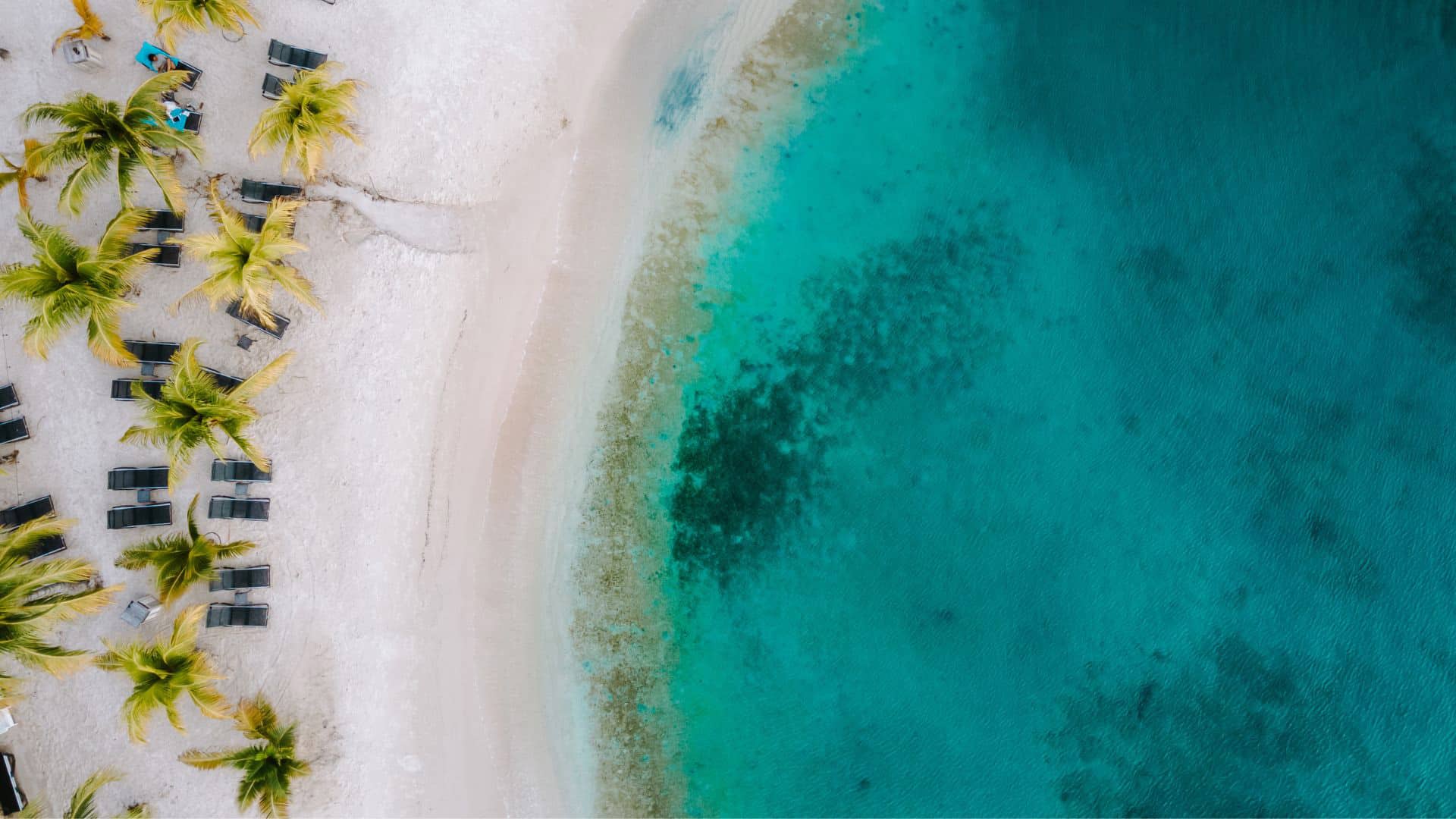 Aerial view of a palm-lined Curaçao beach and clear turquoise water